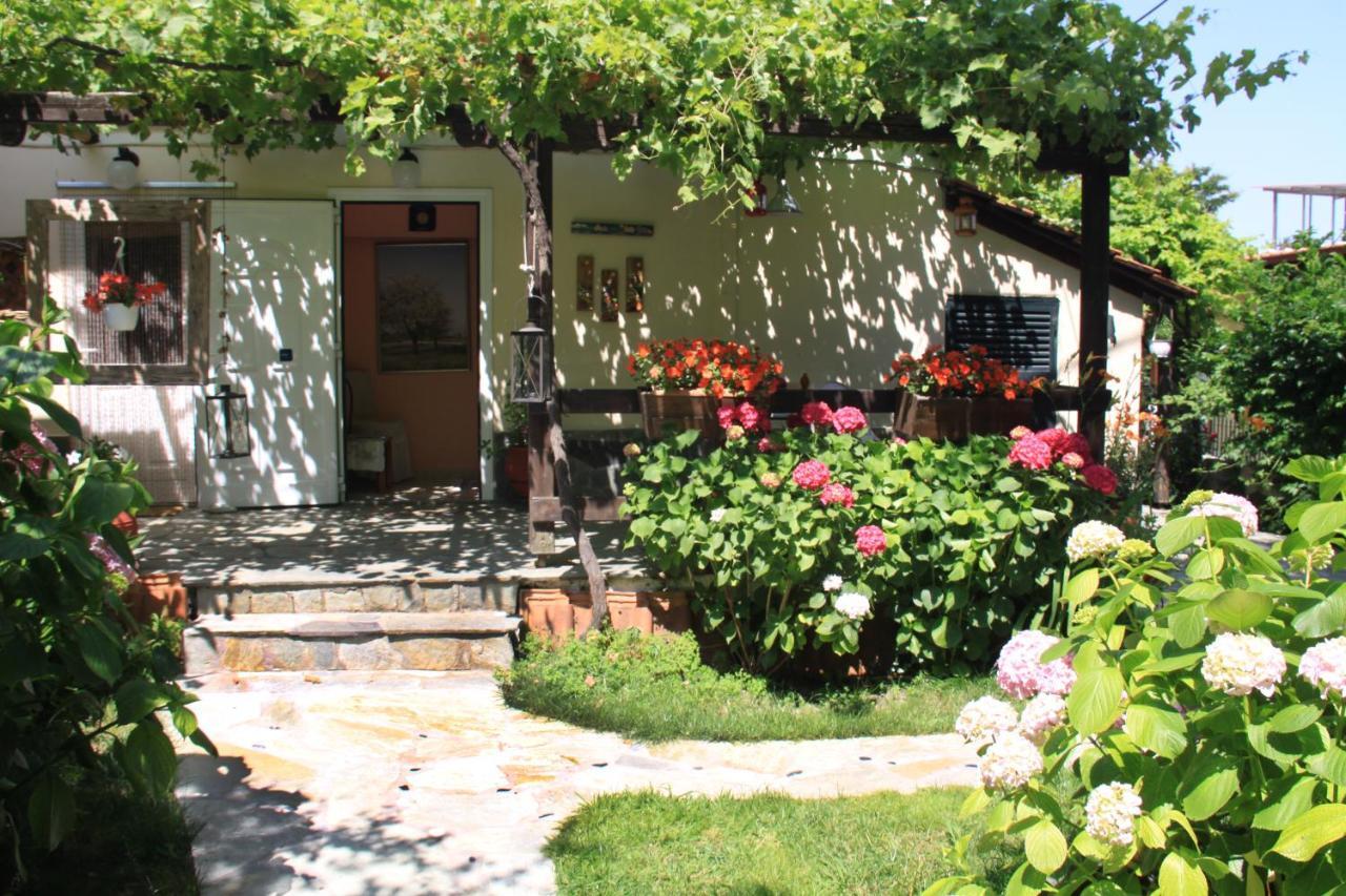 פראליה פנטליימונוס Fasoli Studios מראה חיצוני תמונה